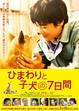 电影:向日葵与幼犬的7天国语