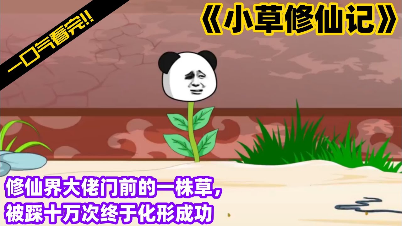 电影:小草修仙记