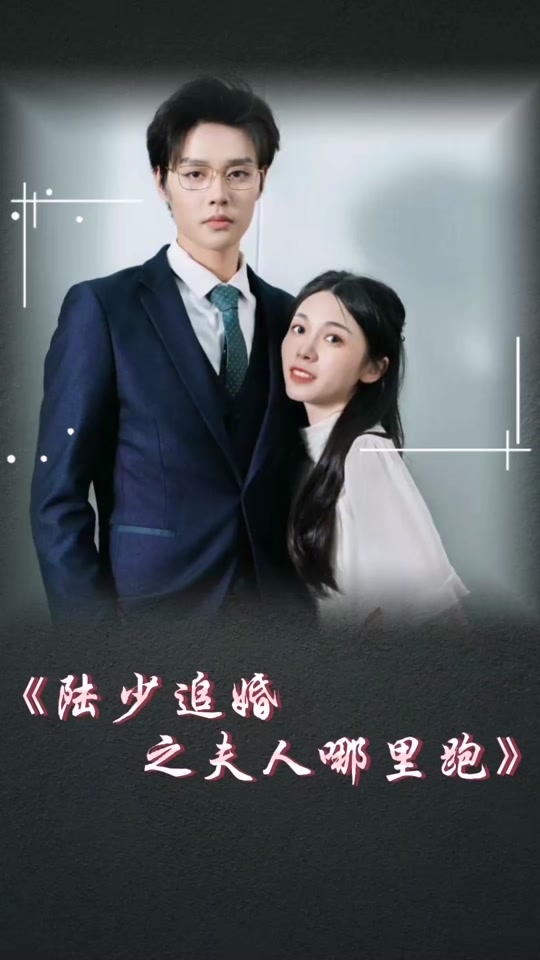 电影：陆少追婚之夫人哪里跑