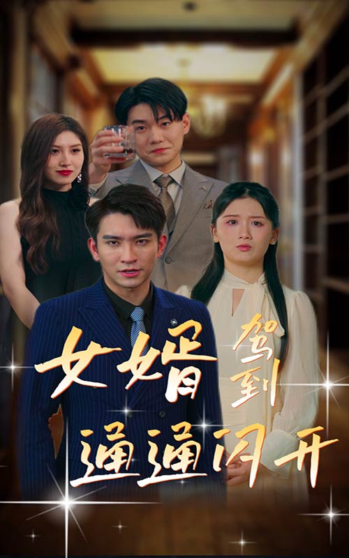 电影：女婿驾到，通通闪开
