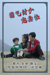 电影：霸气封少宠妻忙