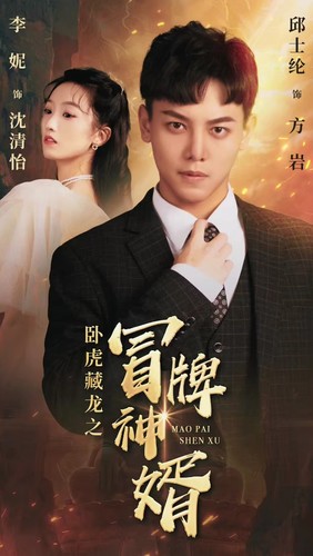 电影：卧虎藏龙之冒牌神婿