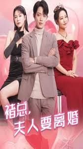 电影：褚总夫人要离婚