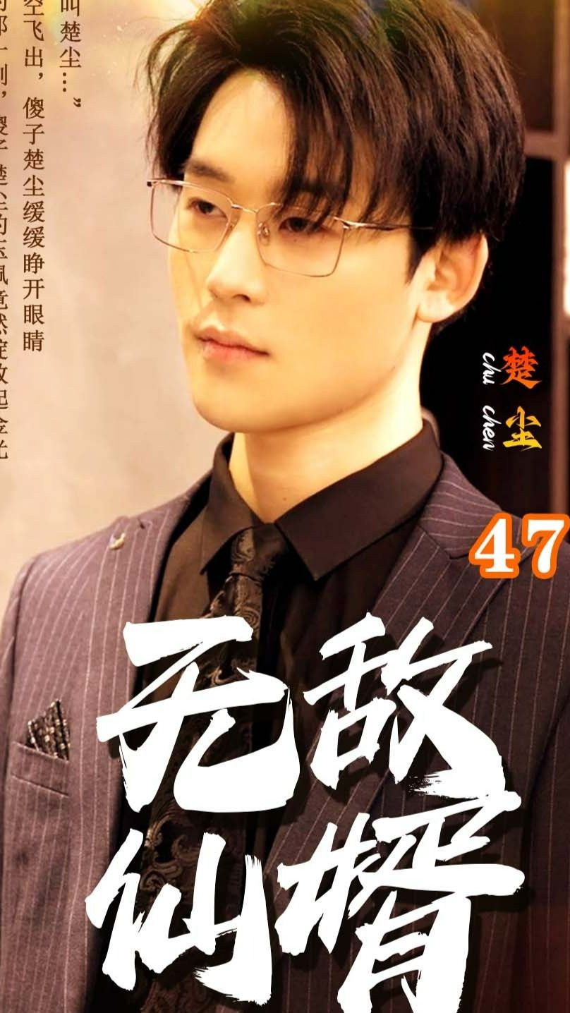 电影：无敌仙婿