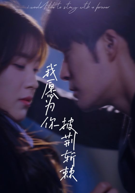 电影：我愿为你披荆斩棘