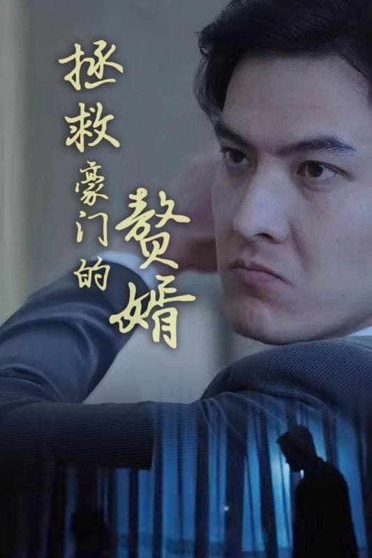 电影：拯救豪门的赘婿