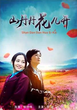 电影：山丹丹花儿开