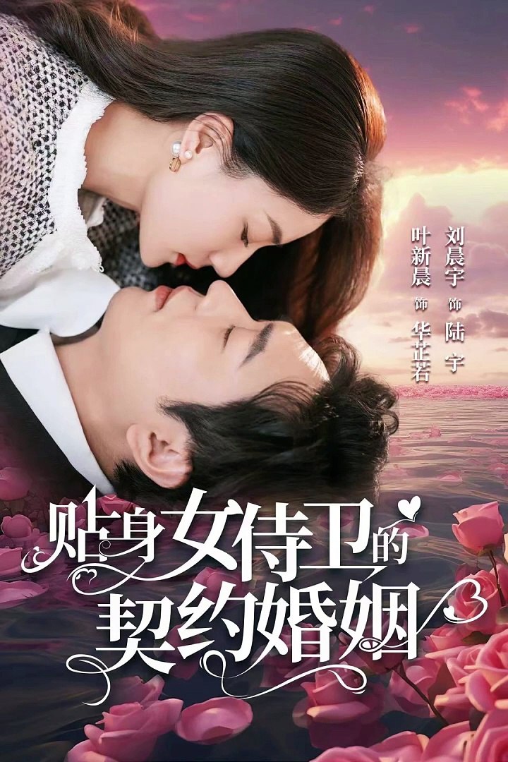 电影：贴身女侍卫的契约婚姻