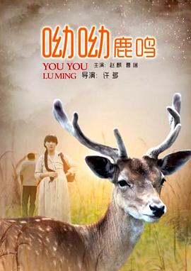 电影：呦呦鹿鸣