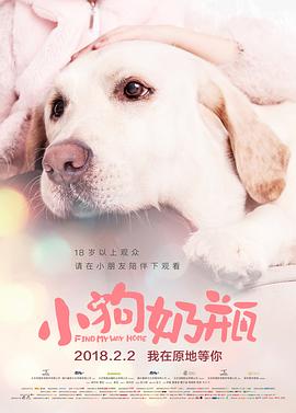 电影：小狗奶瓶