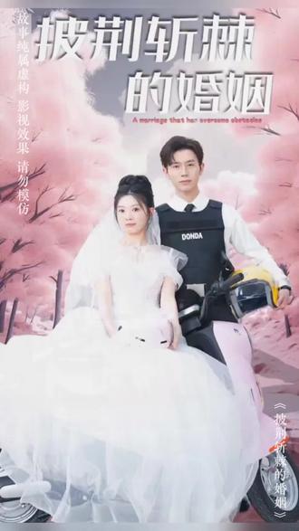 电影：新：披荆斩棘的婚姻