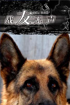 电影:战友无声