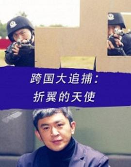 电影：跨国大追捕：折翼的天使