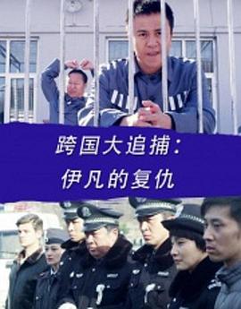 电影:跨国大追捕:伊凡的复仇