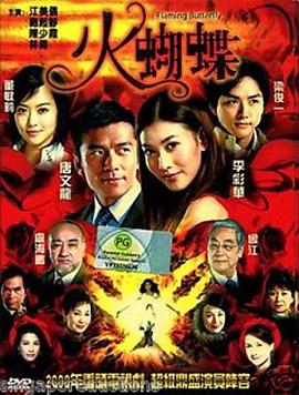 电影:火蝴蝶2008
