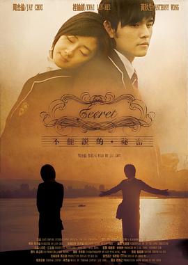 电影：不能说的秘密2007