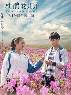电影：杜鹃花儿开