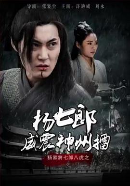 电影：杨七郎威震神州擂