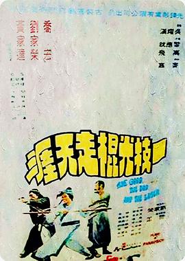 电影：一枝光棍走天涯国语