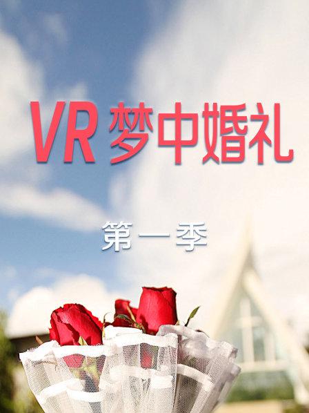 电影：VR梦中婚礼第一季