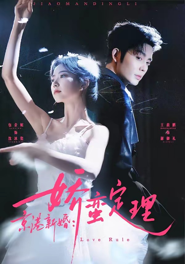 电影：京港新婚：娇蛮定理