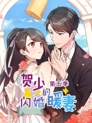 电影：贺少的闪婚暖妻第五季