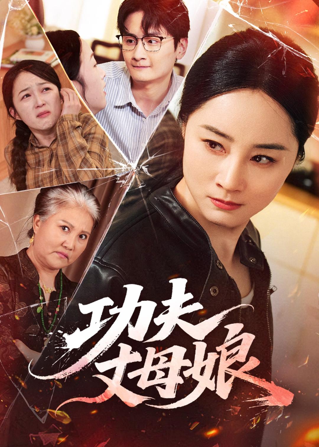 电影：功夫丈母娘