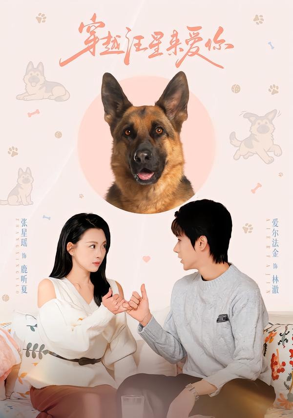 电影：穿越汪星来爱你