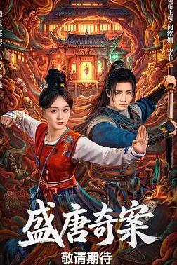 电影:盛唐奇案