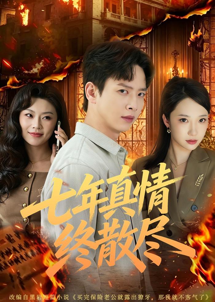 电影：七年真情终散尽