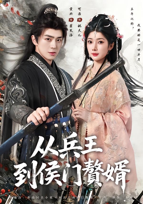 电影：从兵王到侯门赘婿