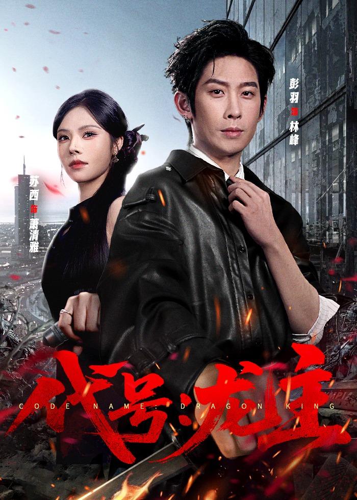 电影：代号：龙主