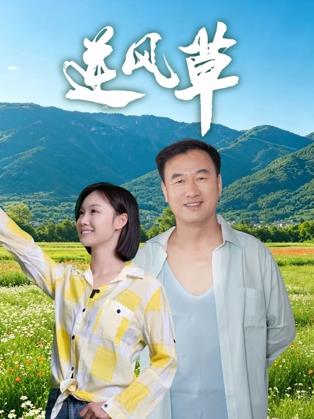 电影:逆风草