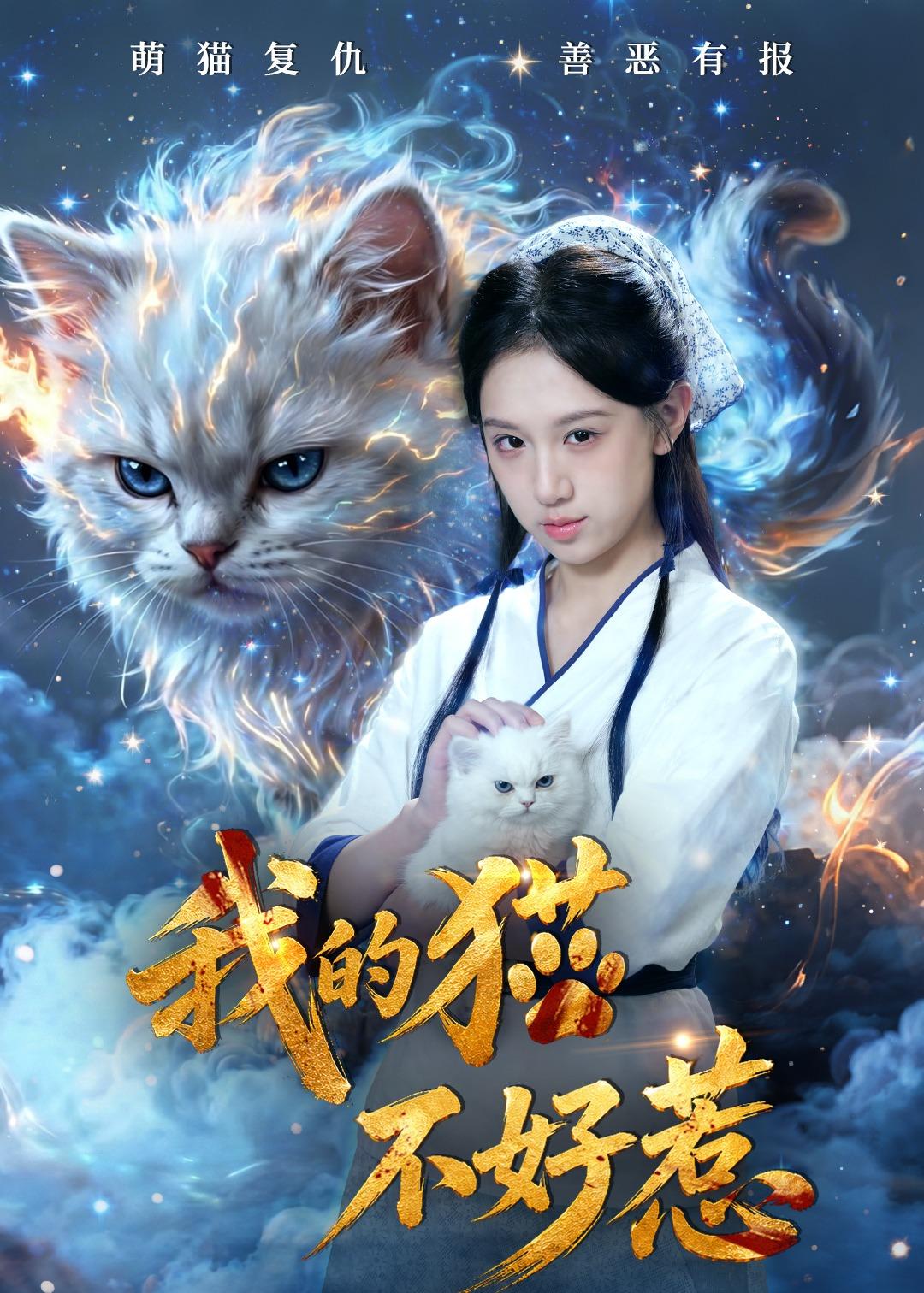 电影：我的猫不好惹