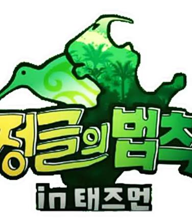 电影：金炳万的丛林法则第九季