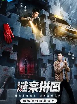电影：谜案拼图