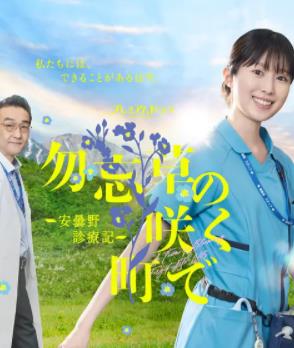 电影：在勿忘草盛开的城镇～安昙野诊疗记～